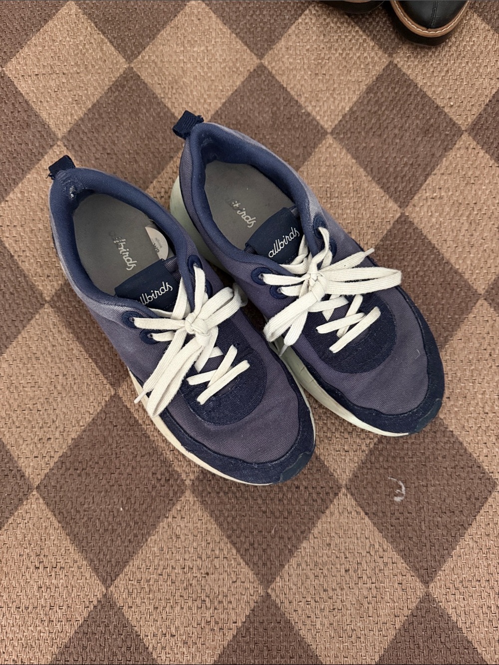 allbirds Navy and White Low-Top Sneakers